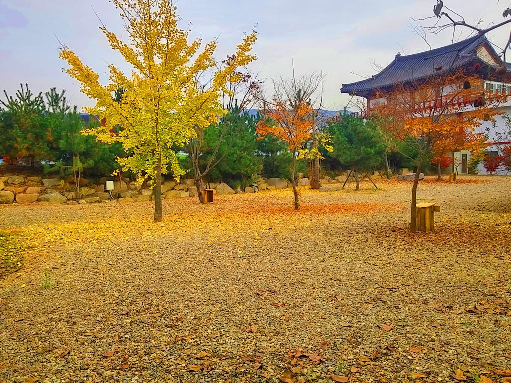 Chowoo Guesthouse Kjongdžu Exteriér fotografie